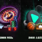 원엑스벳 알아보기: 온라인 스포츠 플랫폼 정보 확인 포인트