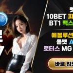 띵벳 이용 정보: 안전하게 살펴보기 위한 기본 가이드