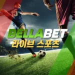 벨라벳 가이드: 이용 전 알아두면 좋은 주요 정보