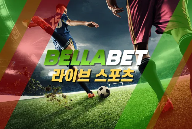 벨라벳 가이드: 이용 전 알아두면 좋은 주요 정보